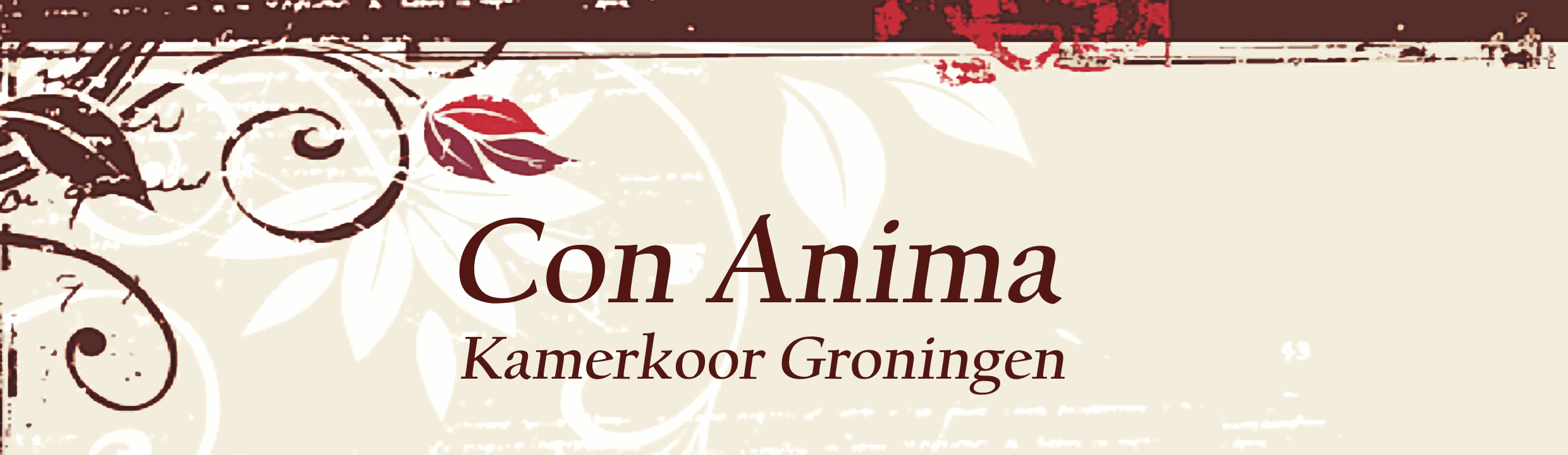 Kamerkoor Con Anima Groningen